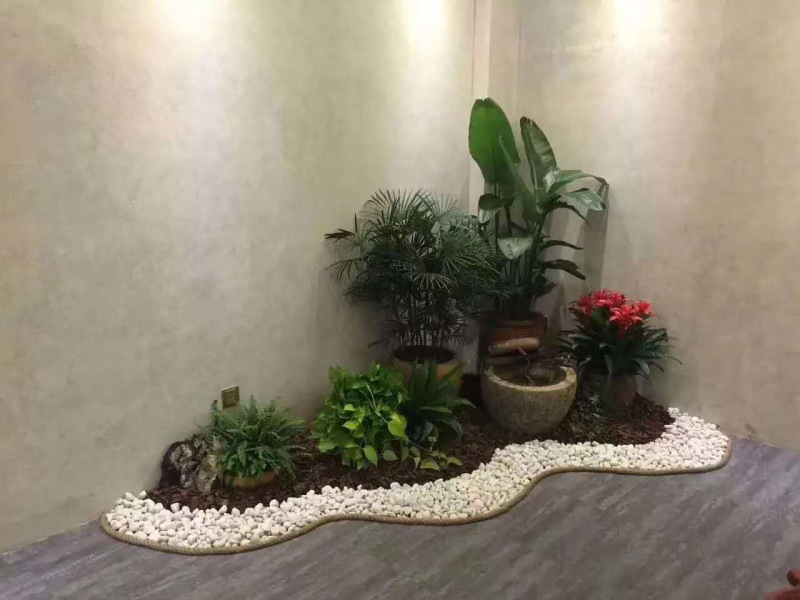 藝術(shù)組合盆景