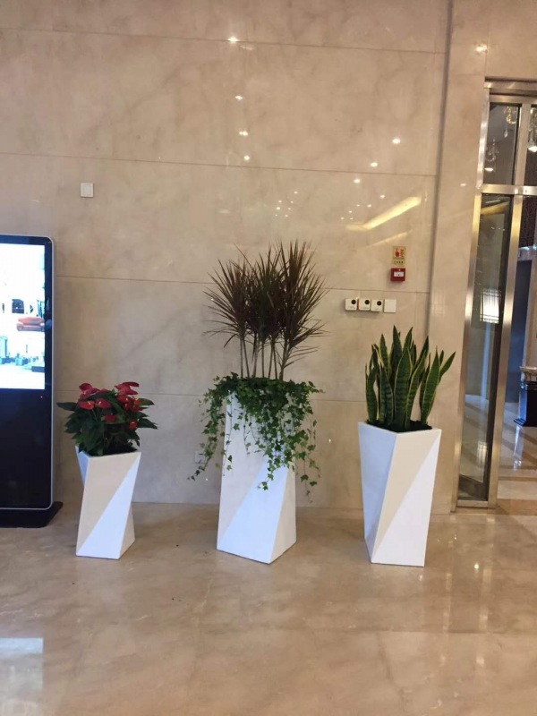 藝術(shù)組合盆景