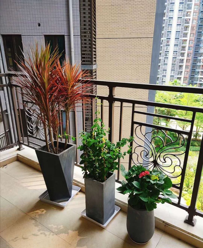 藝術(shù)組合盆景